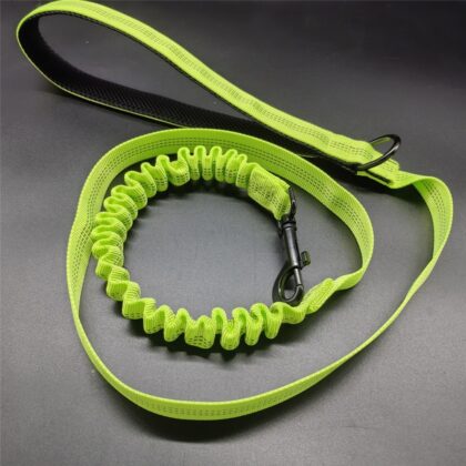 Shock-Absorbing Oxford Dog Leash