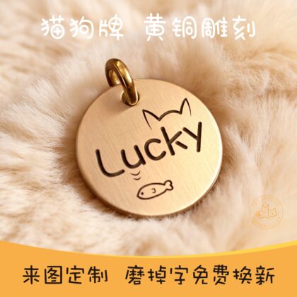 Personalized Brass Pet ID Tag