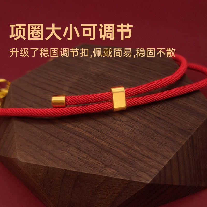 Lucky Red Rope Custom Pet ID Necklace - Image 3