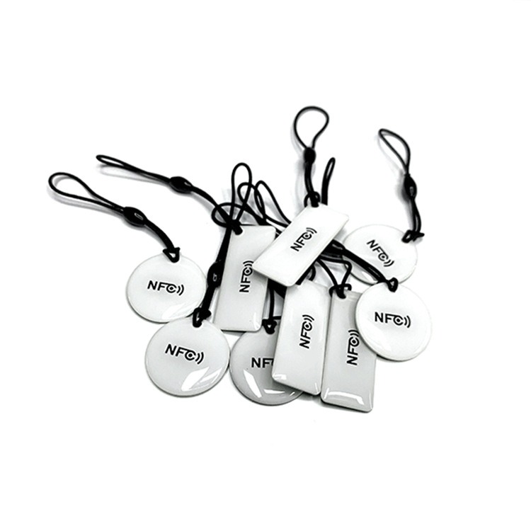 RFID Smart Pet ID Tag with NFC & QR Code - Image 3