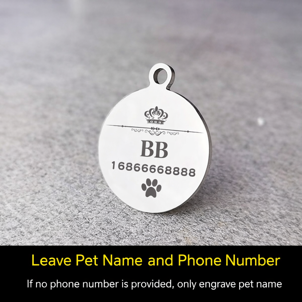 Personalized Silver Pet ID Tag - Image 4