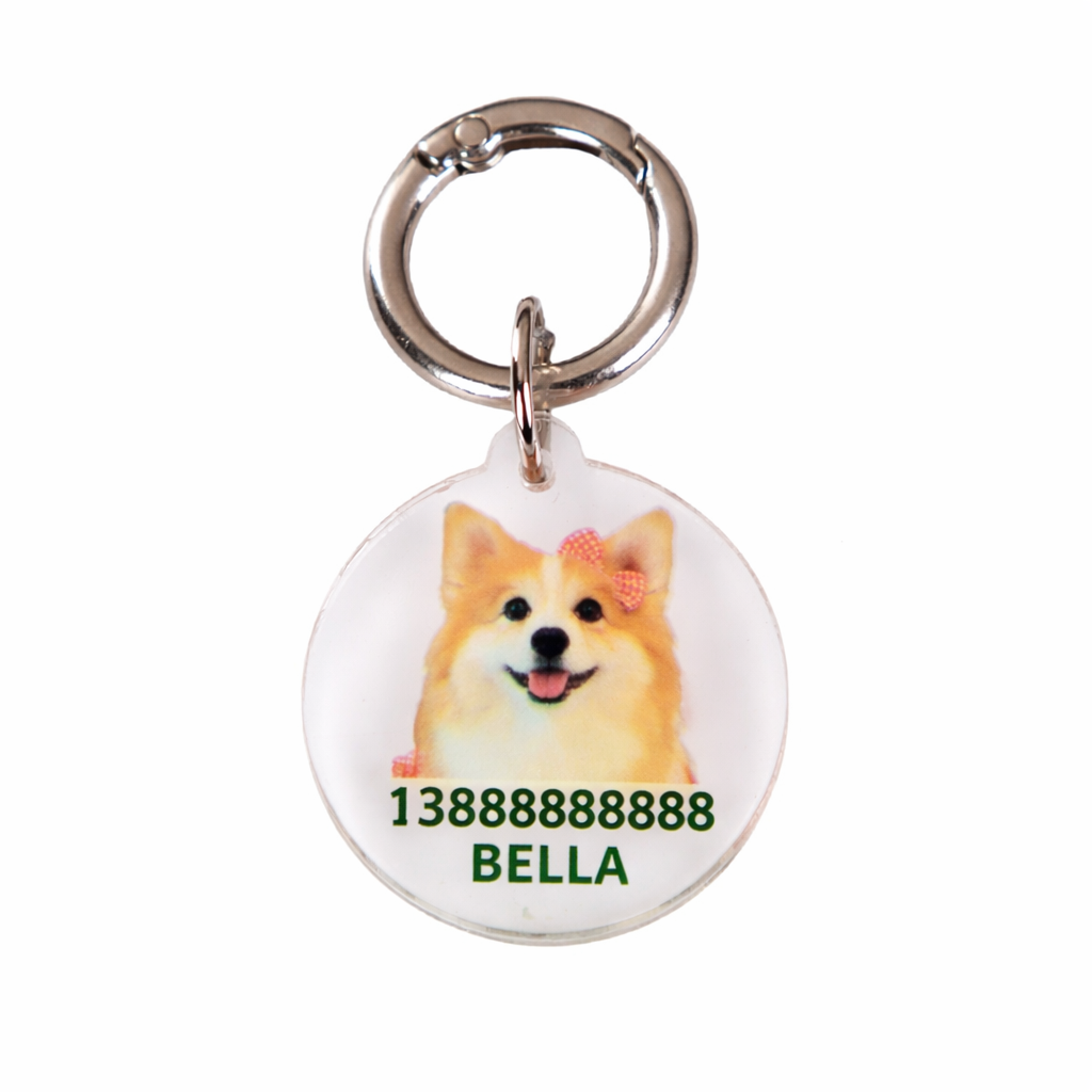 Personalized Photo Pet ID Tag - Image 6