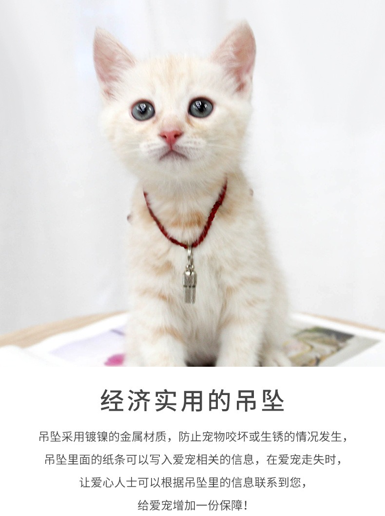 Mini Capsule Pet ID Pendant - Image 4