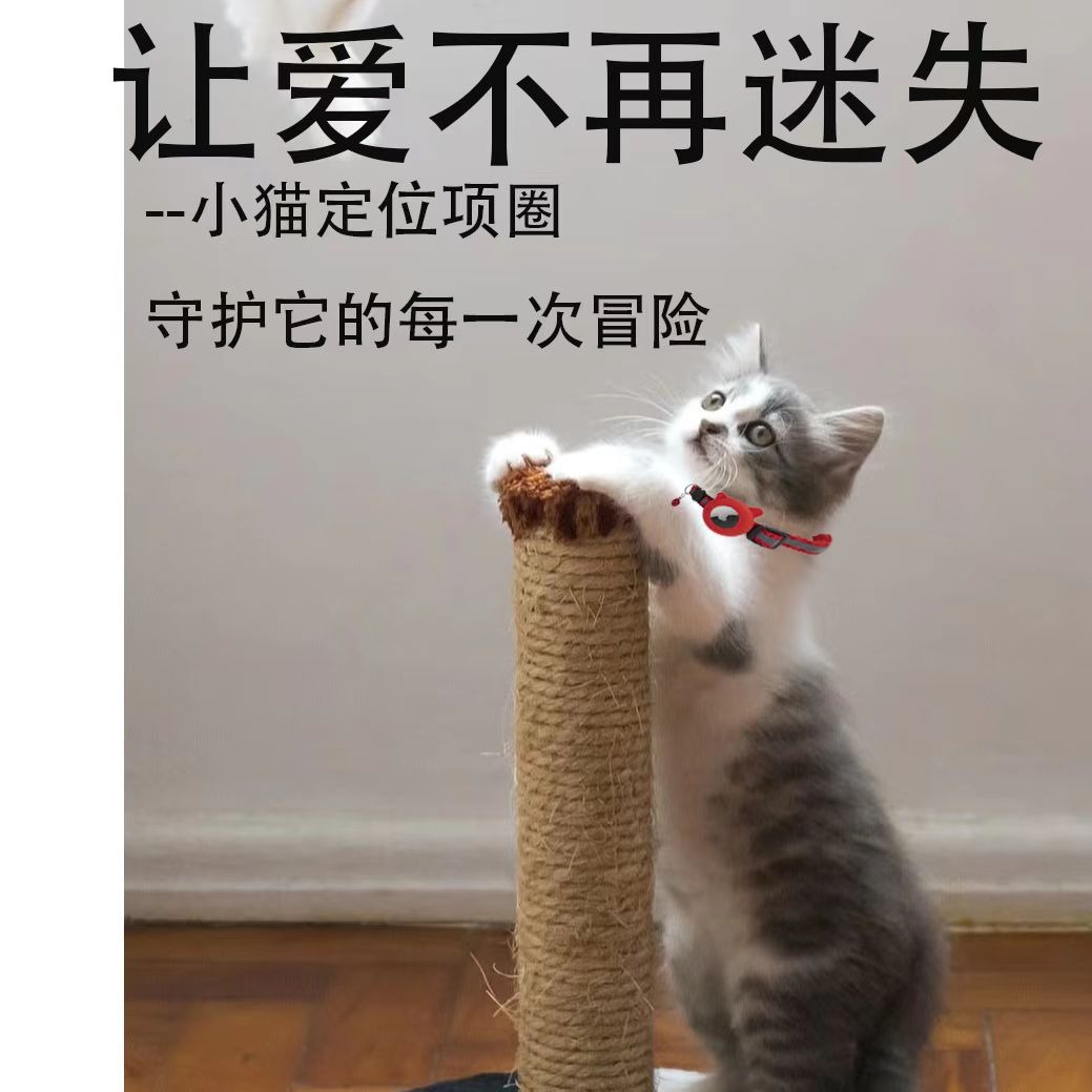 Reflective Breakaway Cat Collar with AirTag Holder & Bell - Image 6