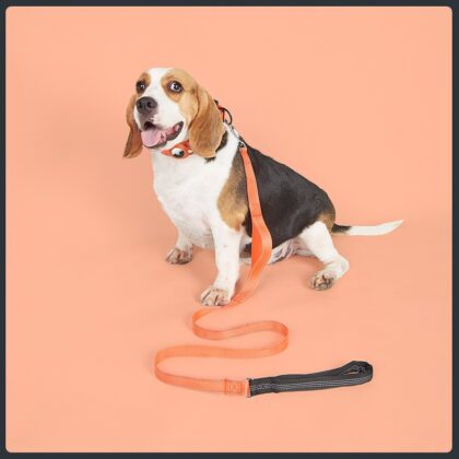 SoftGrip Nylon Dog Leash 1.8m