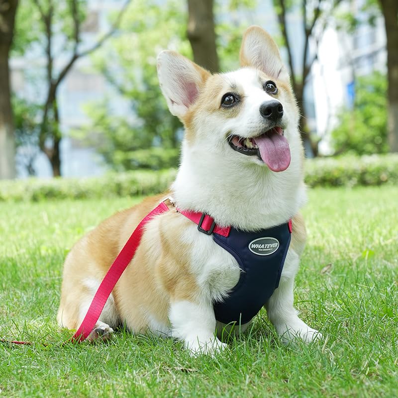 Keatsy Dog Harness and Leash Set, Adjustable Vest-Style Pet Harness with Leash, Lightweight Breathable Dog Walking Harness for Small and Medium Dogs - Image 3