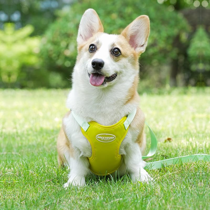 Keatsy Dog Harness and Leash Set, Adjustable Vest-Style Pet Harness with Leash, Lightweight Breathable Dog Walking Harness for Small and Medium Dogs - Image 2