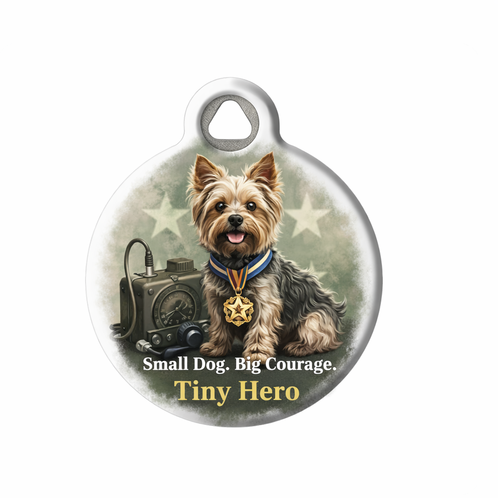 Smoky “Tiny Hero” Pet ID Tag