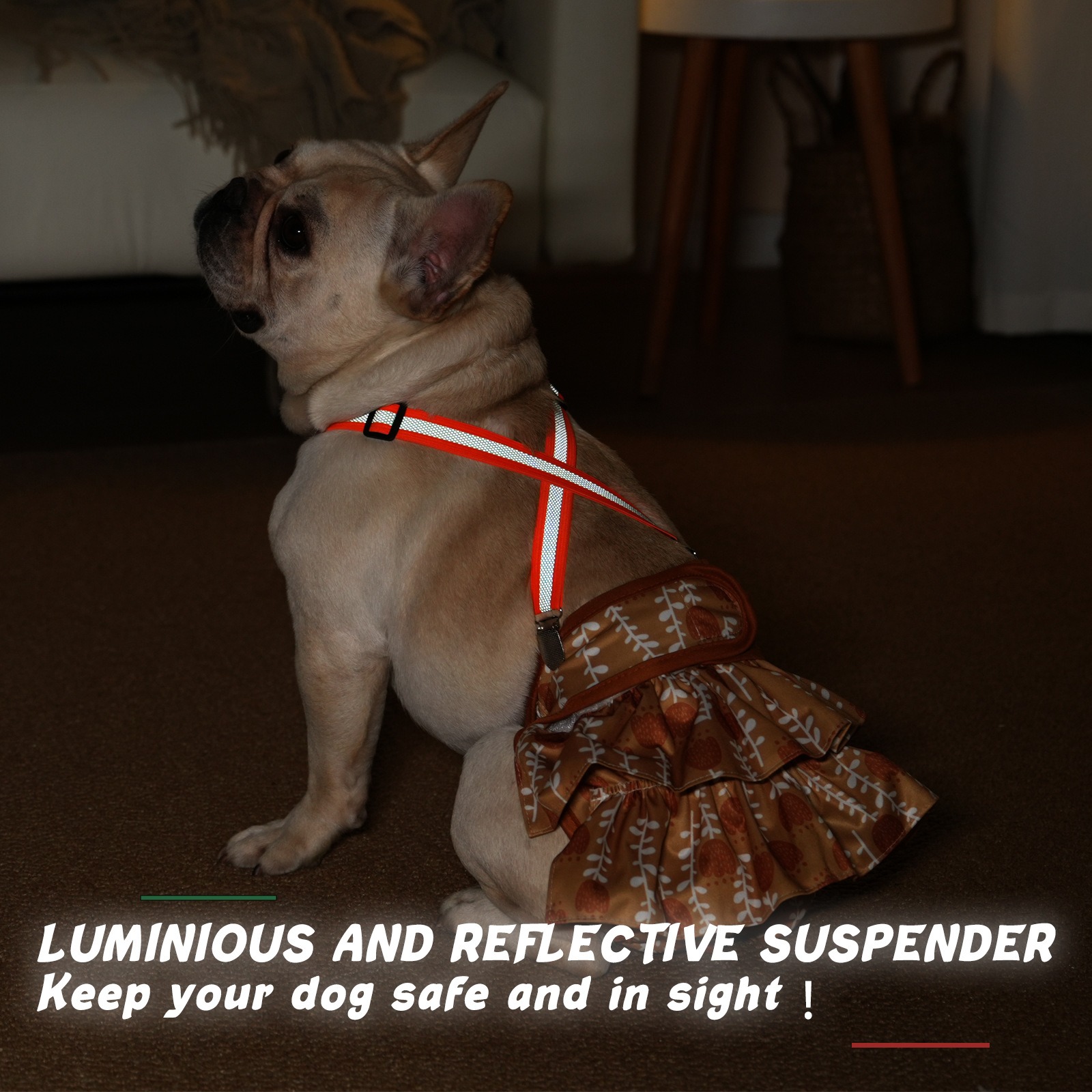 Dog Suspender for Diapers and Clothes - Image 5