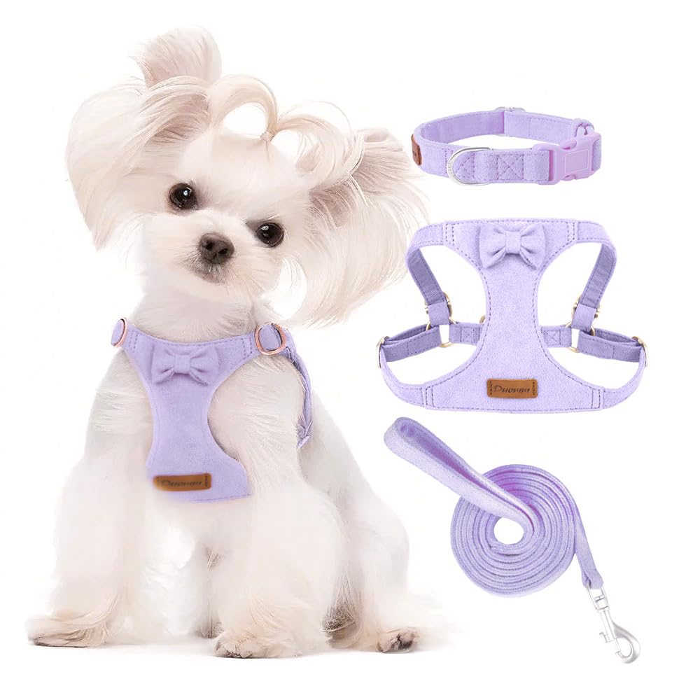 Keatsy Pet harness leash vest-style outdoor three-piece set collar for cats and small dogs walking correa para perros - Image 2