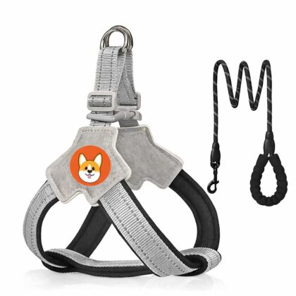 Keatsy Vest Style Dog Harness and Leash Set for Small & Medium Dogs, Adjustable Pet Walking Harness with Leash