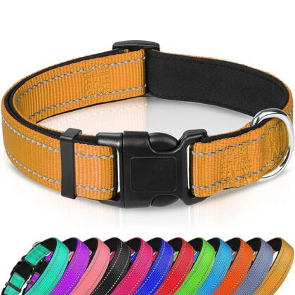 Keatsy Reflective Nylon Dog Collar, Adjustable Quick-Release Design with Metal D-Ring for Small and Medium Dogs