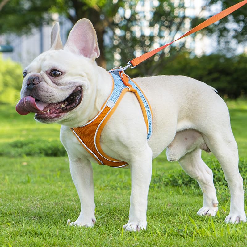 Keatsy Pet Supplies Vest-Style Harness Reflective Breathable Cat and Dog Leash Walking Rope - Image 4