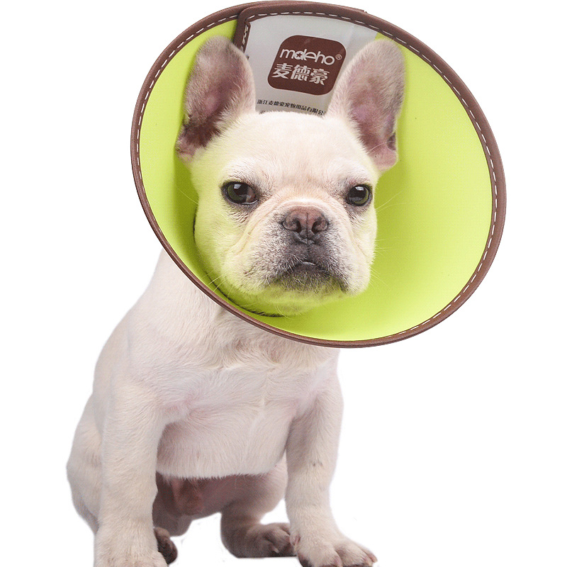 Medhao Elizabeth Circle Pet Protective Cover Dog Medicine Feeding Bath Injection Protective Ring Anti-Bite Ring Wholesale - Image 4