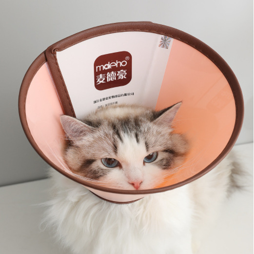 Medhao Elizabeth Circle Pet Protective Cover Dog Medicine Feeding Bath Injection Protective Ring Anti-Bite Ring Wholesale - Image 6