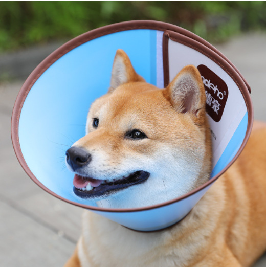 Medhao Elizabeth Circle Pet Protective Cover Dog Medicine Feeding Bath Injection Protective Ring Anti-Bite Ring Wholesale - Image 7