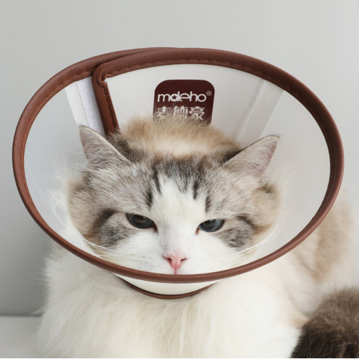 Medhao Elizabeth Circle Pet Protective Cover Dog Medicine Feeding Bath Injection Protective Ring Anti-Bite Ring Wholesale - Image 8