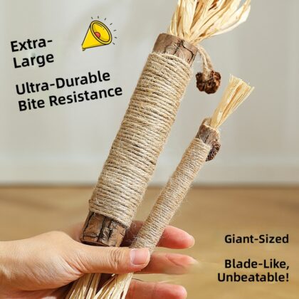 New cat grinding stick Polygonum