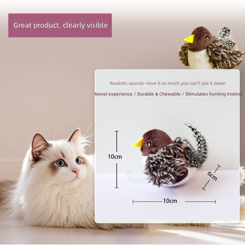 Cat Pet Toys Boredom From Img 1014924654345