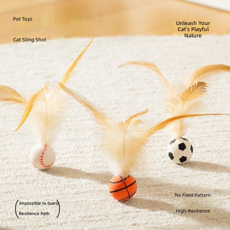 Cat Self-Entertainment Unboxing: New Creative Cat Toy – Feather Cat Toy for Kittens