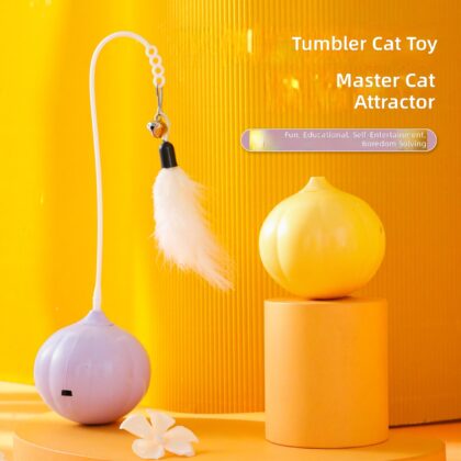 Homemade Cat Toys - Glow-In-The-Dark Cat Toy with Interactive Fun