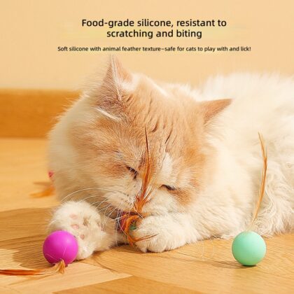Pet fun toy feather solid elastic ball gnaw resistant interactive play cat toy silicone toy wholesale