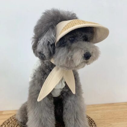 Pet Summer Sunscreen Hat Straw Hat Cat Dog Teddy Beaumi Bear Adjustable Sunshade Hat