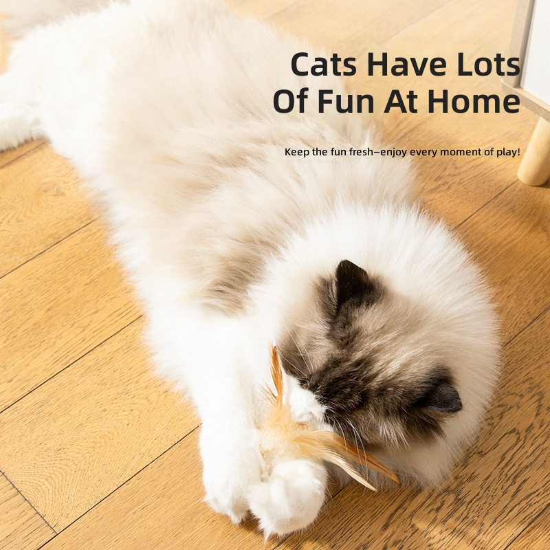 Cat Pet Toys Self Entertainment Img 996969366432