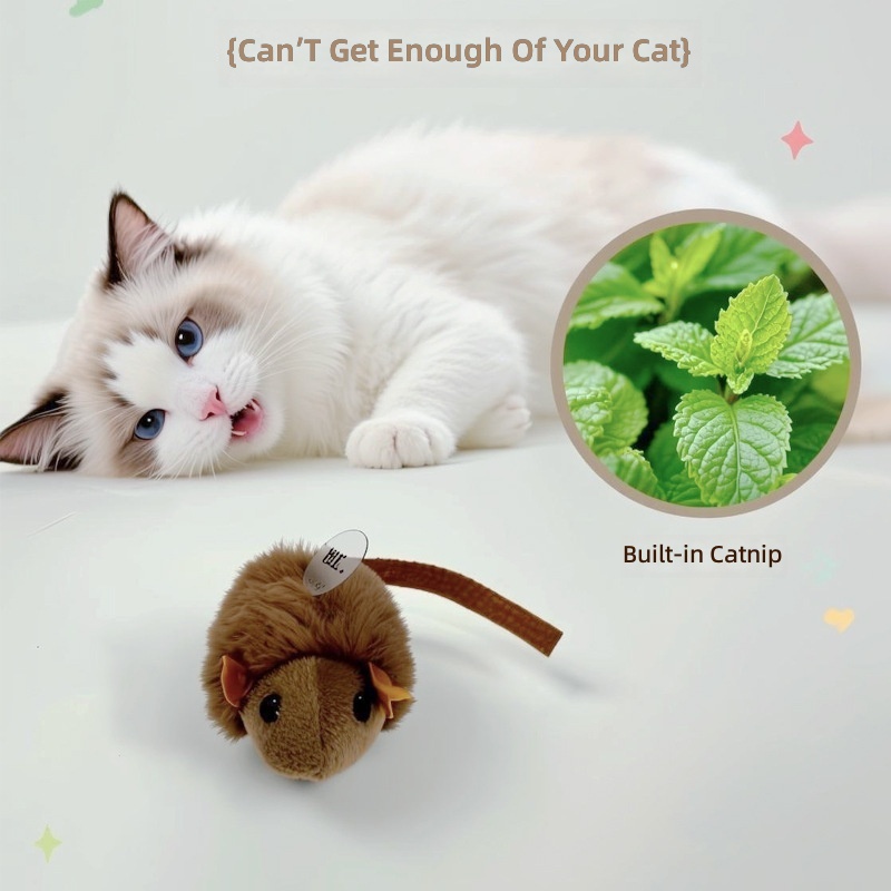Cat Pet Toys Toy Interactive Img 960696976991