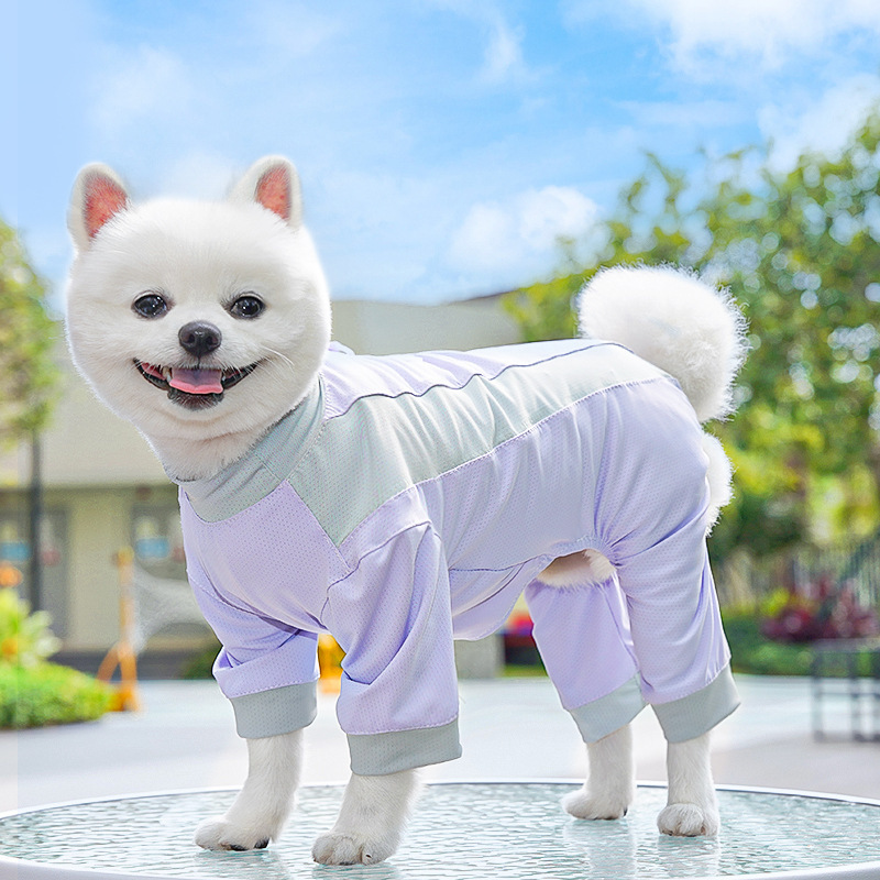 Dog Apparel Sunscreen Dog Img 908523385600