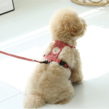 Cross-border hot pet leash cute cartoon embroidery dog walking cat rope adjustable strap leash