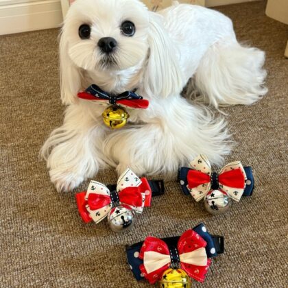 Pet Accessories Cat Dog Small Dog Adjustable Accessories Collar Bell Bow Tie