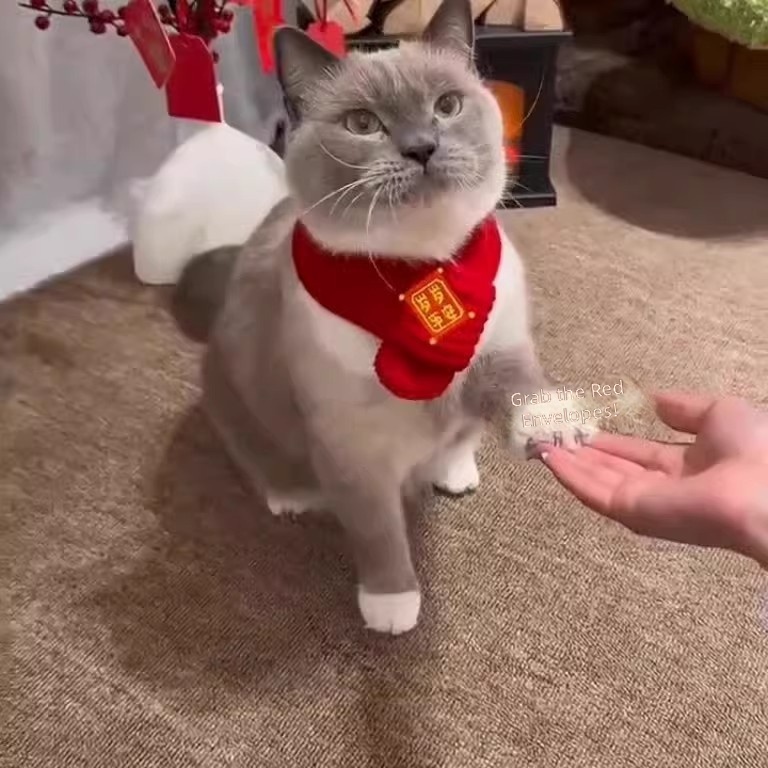 Maoming New Year Scarf Pet Scarf Red Warm Chinese Style Slippery Scarf Bib Dog New Year Scarf Wholesale - Image 4