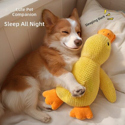 Custom explosions wholesale pet dog dog toy method fight molars vent training sleeping duck sound dog toy