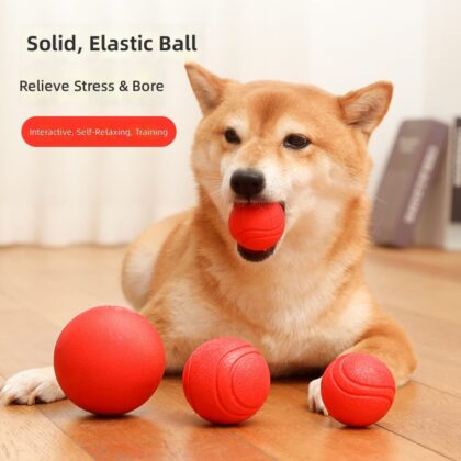 Interactive Ball Toy for Dogs - Durable TPR Chew Toy for Large Puppies