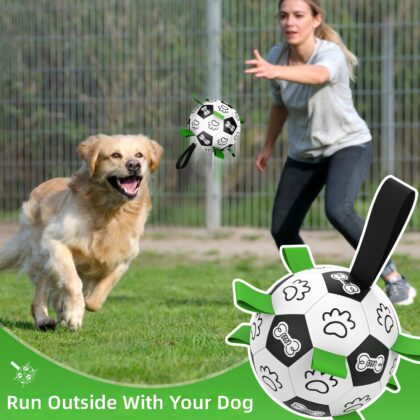 Dog toys self-hi to relieve boredom artifact border animal husbandry Corgi training special dog football bite-resistant pet toys wholesale