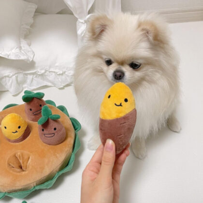 Ins Hot Pet Toy Pulling Sweet Potato Sweet Potato Set Toy Dog Sniff Hidden Food Plush Toy bb
