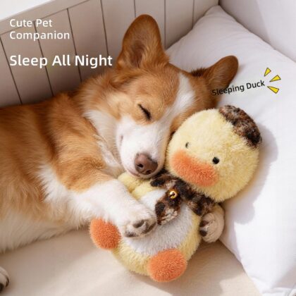 Little yellow duck dog toy bite-resistant self-hi relief artifact small dog puppy molars pet toy sound sleep
