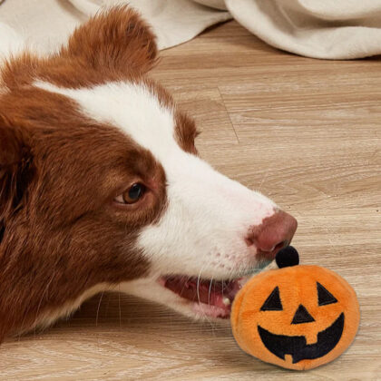 New Halloween Pumpkin Goggy Plush Toy Dog Vocal Bite Resistant Boring Relieving Toy Pet Cat Dog Toy Ball