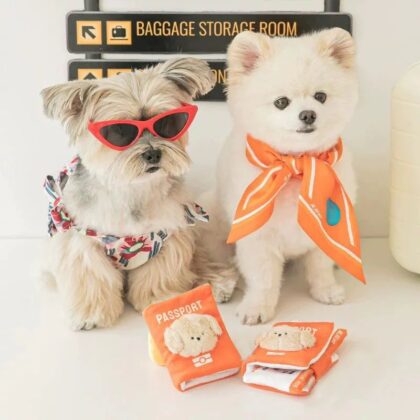 New Ins Style Korean Cartoon Pet Hidden Food Sniff Ring Paper Cloth Book Passport Air Ticket Small Dog Plush Toy