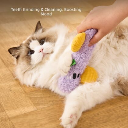 Pet self-hi to relieve boredom and bite-resistant molars plush toys wholesale symbol series dog toys cat and dog supplies spot