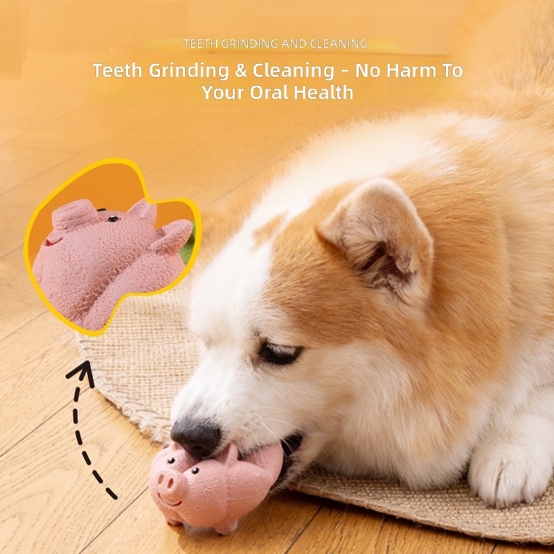 Dental Toys for Small Dogs - Rubber Chew Toy with Sound for Teething & Entertainment - Image 3