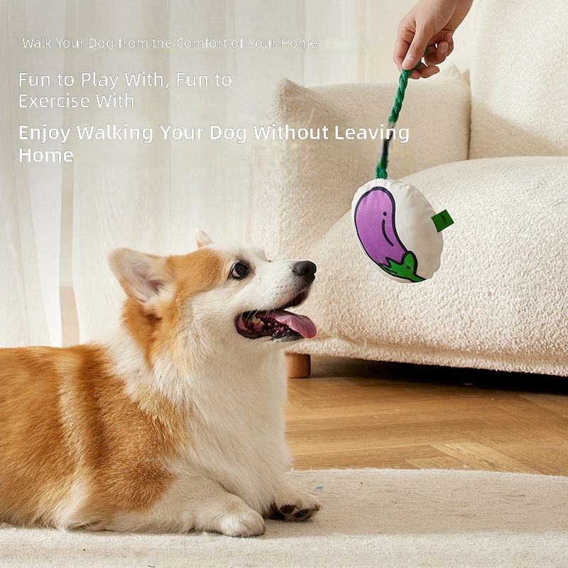 Dog Toys Toy Img 939246029607