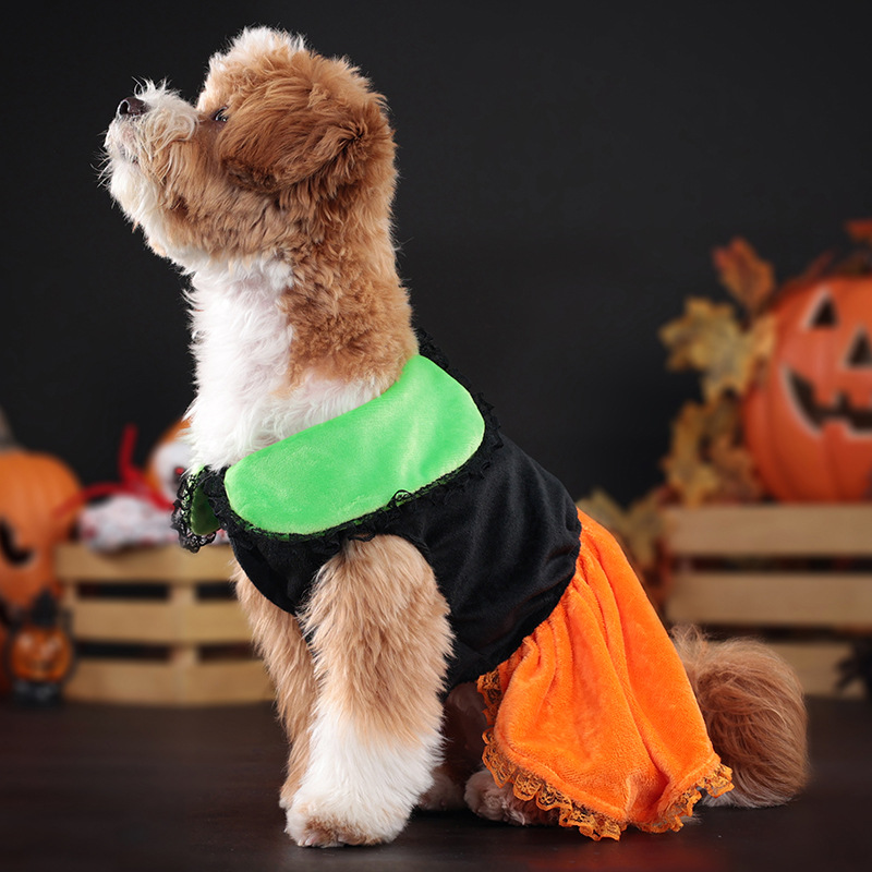 New Halloween Pumpkin Lapel Casual Dog Skirt Shiba Inu Pet Dog Clothes Cross-Border General Wholesale - Image 3