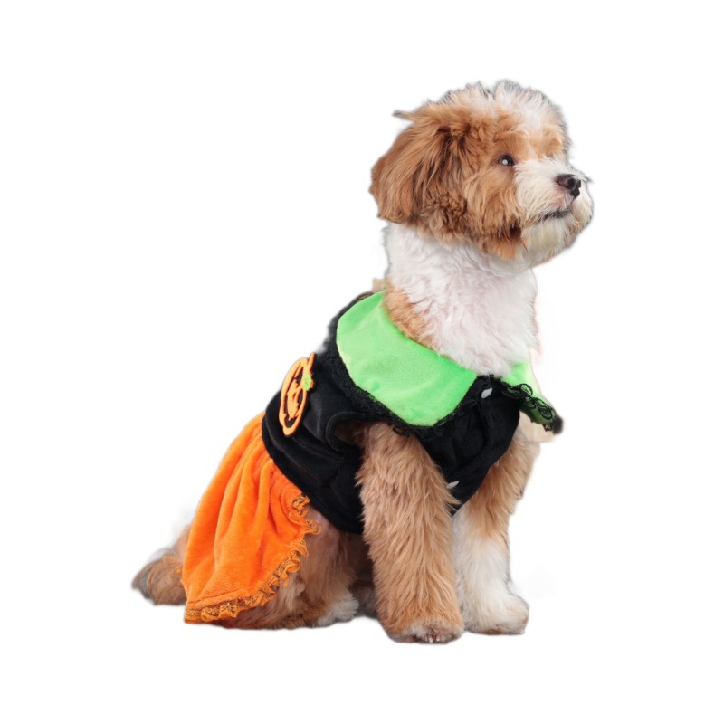 New Halloween Pumpkin Lapel Casual Dog Skirt Shiba Inu Pet Dog Clothes Cross-Border General Wholesale - Image 5