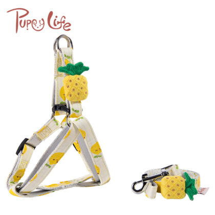 Small and medium-sized out dog traction safety rope fruit series dog walking rope dog rope cat traction rope