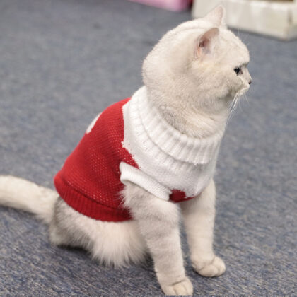 Cat Clothes Multicolor Lapel Casual Pet Cat Sweater Knitted Dog Sweater Warm Small and Medium Dog Clothes