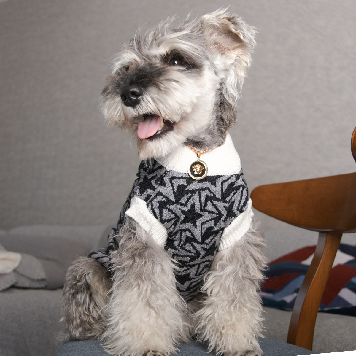 Pet clothes autumn and winter new fashion dog knitted sweater warm two-legged clothes dog clothes in stock generation hair