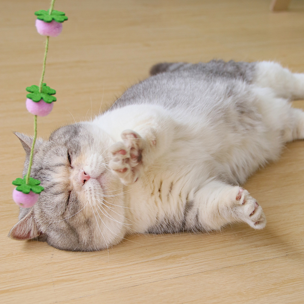 New Fruitful Long Cat Toys from Hi Guofeng Cat Toys Wholesale Cross-border Pet Toys - Image 4