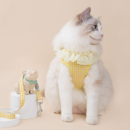 21 Dog Chest Strap Plaid Lace Pet Dog Walking Rope Anti-break-free Adjustable Fruit Series Dog Rope